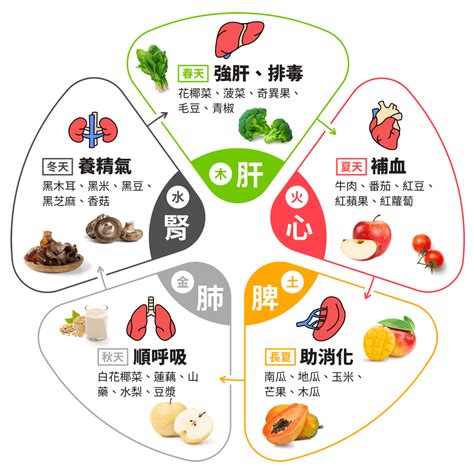 鴨肉 屬性|由西方營養學觀點，解讀中醫食物五性學說